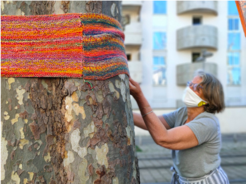 Décoration des arbres de l'Avenue du Professeur Grasset
